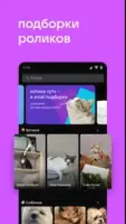 VK Clips скриншот 8