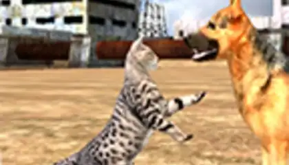 HomelessCat