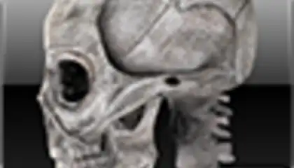 Human skeleton 2D