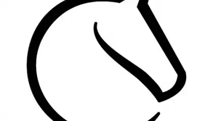 lichess